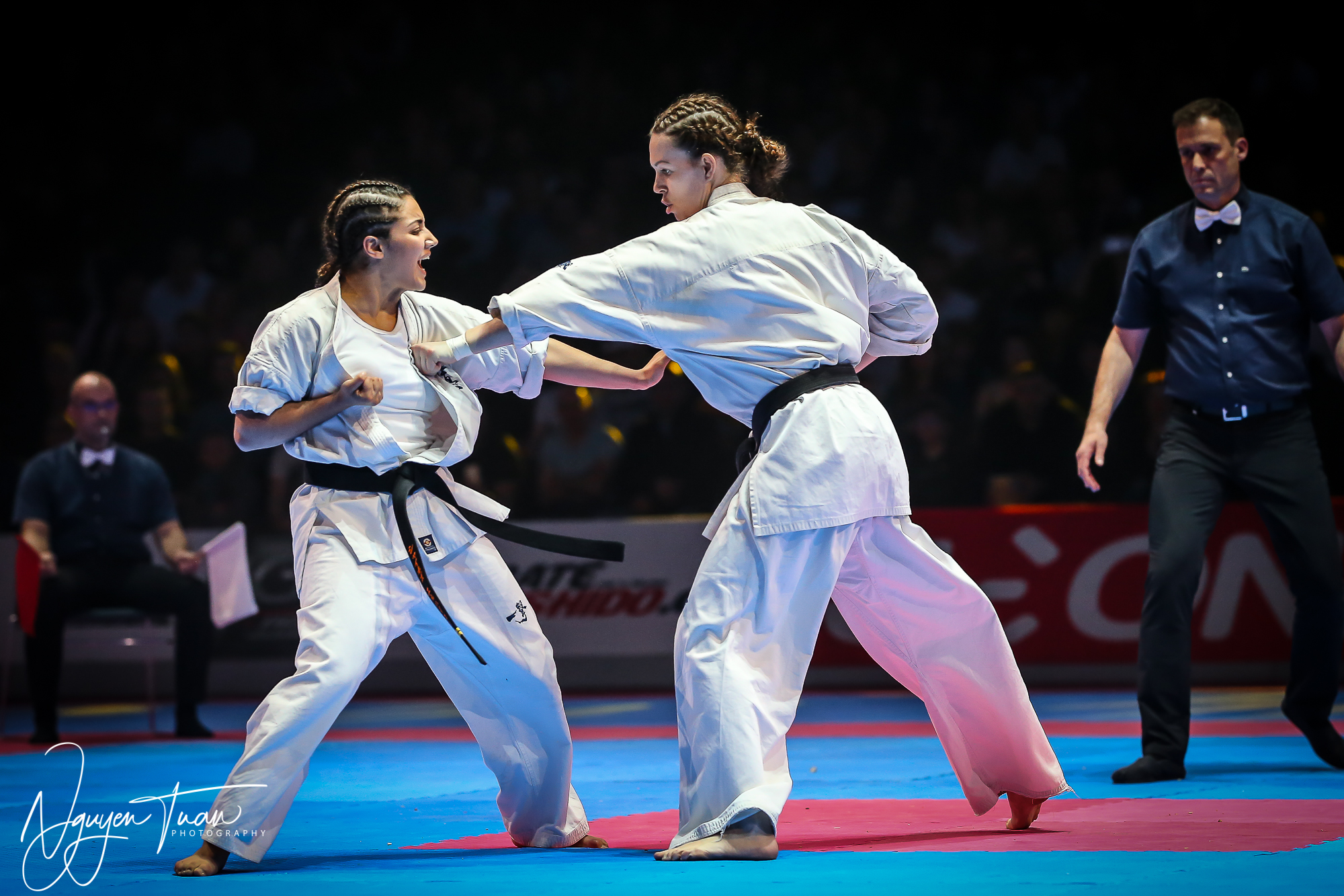 20190324 Festival des Arts Martiaux 5964